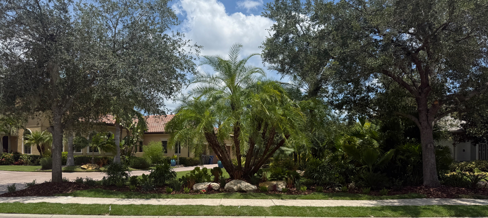 Sarasota estate with mature palms, olive trees, and layered tropical landscaping under a bright Gulf Coast sky